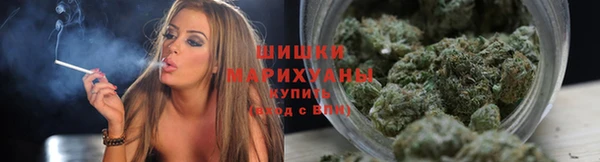хмурый Лагань
