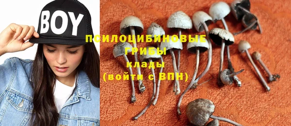 альфа пвп Карпинск