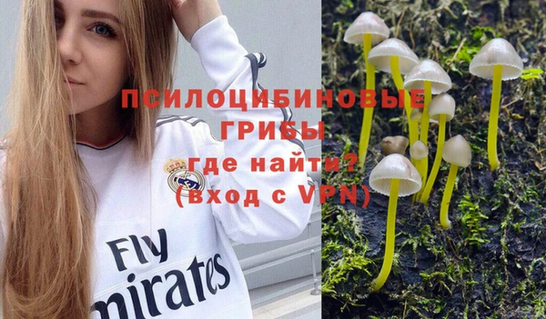 альфа пвп Карпинск