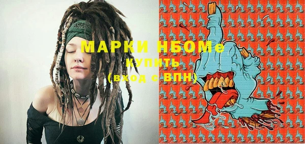молекула духа Надым