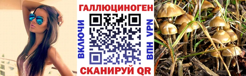 сколько стоит  Александровское  МЕГА зеркало  Галлюциногенные грибы ЛСД 